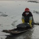 벌교사료 이미지