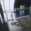 페르마타 풀빌라 이미지