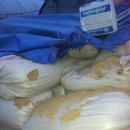 함박골농장 이미지