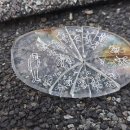 안경스케치 이미지