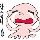 드홀헤어 이미지