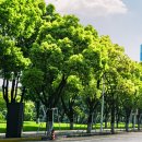 미플러스성형외과의원 이미지