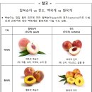 천도개발 네이버블로그