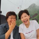건강한한용