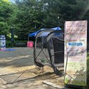 꿈이있는숲속유치원 | 유치원 숲놀이 행사 후기｜용인 아람 유치원 체험부스 &amp; 에어바운스 현장🎈