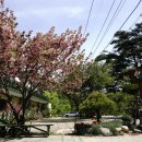 속리산민박 이미지