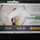 입주청소새마을클린 - 관악구 신림로56길 32 | 입주청소새마을클린
