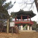 국민은행 앞 횡단보도(송림오거리) | 서해랑길 인천 96코스 (자유공원입구 - 대우하나아파트버스정류장) 2024.02.03