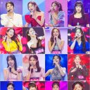 미스동백 이미지