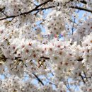 좋은축산마을 이미지