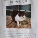 영제약국 | 아엠어개강한레이디