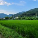 화순토지공인중개사사무소 이미지