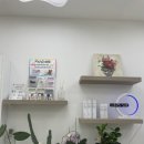 뽐내시개 이미지