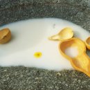 너른바위 이미지