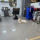 김도영미용실 이미지