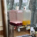 청풍황금송어 이미지