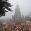 보드가야(BODHGAYA) 이미지
