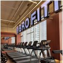 브로피트니스 이미지