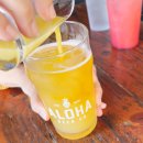 어컴퍼니 | 맥주 맛집에서 브런치라니! 호놀룰루 알로하비어컴퍼니 브런치 후기