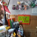 여우하품 이미지