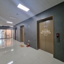 아브뉴프랑 옐로우 이미지