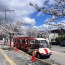예스파크 화장실 3 | 이천체험문화축제 후기｜아이랑 가기 좋은 예스파크 체험축제 (꿀팁 총정리.4/4방문)