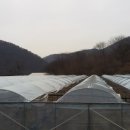 한국농산물포장디자인연구소