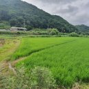 공주시유구읍추계보건진료소 이미지