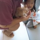 학익동물병원 이미지