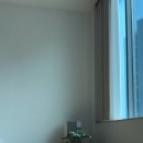 고우스튜디오 이미지