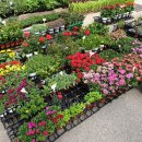 적성식물병원 이미지