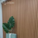 가지스테이 이미지