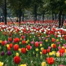 삼학도 중앙공원 이미지