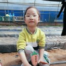 원이네농장 이미지