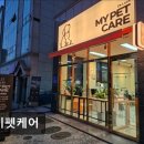 마이펫 애견 미용 | (수원, 강아지, 고양이, 애견미용, 추천!) 마이펫케어 마이펫케어, 전문적인 애견미용
