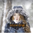 바오헤어 네이버블로그