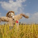 허수아비 이미지