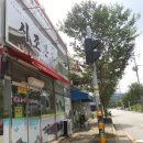 시조본가 이미지