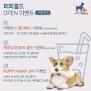 제주펫스쿨 이미지