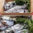 월영농장 이미지