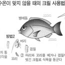 찌 벵에돔 크릴사용법 이미지