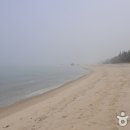 원평숲