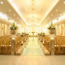 손여사네 이미지