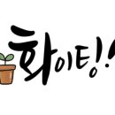 홍카센타 이미지