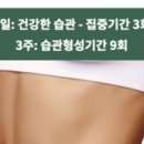 카페드슬리밍고