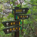 남산6길 15, (교현동) | [충청북도/충주] 충주시내뷰 보러 &#39;남산(금봉산)&#39; 등산⛰️