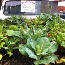 녹색농장 이미지