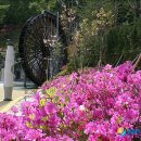 물레방아 이미지