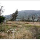 향동초등학교 이미지