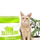 고운 | 고양이 모래 먼지날림 걱정 끝 | 예민묘도 안심한 “최강모래 B2 고운입자” 후기